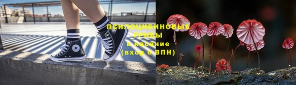 apvp Армянск