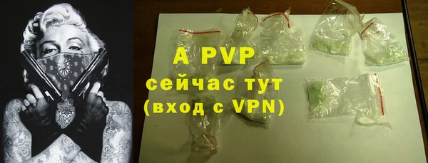 гидра Арсеньев