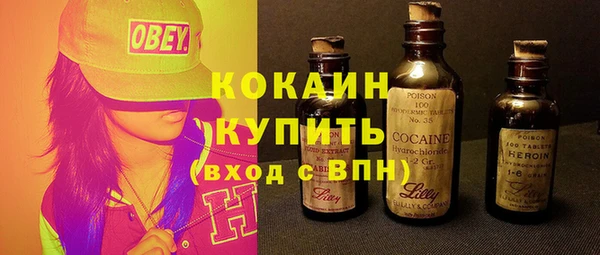 гидра Арсеньев