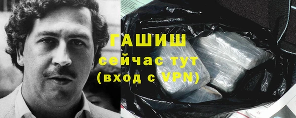 гидра Арсеньев