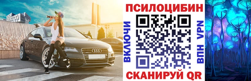 shop формула  Учалы  Галлюциногенные грибы Magic Shrooms 